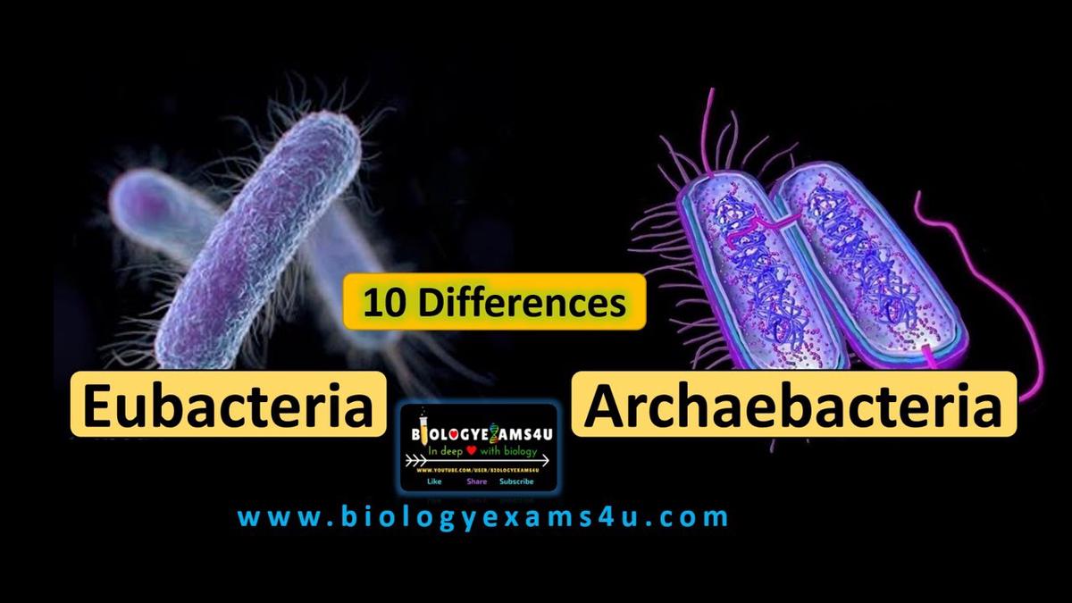 10 Differences between Eubacteria and Archaebacteria Eubacteria vs